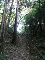 ハゲ山への裏道