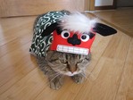 恨みます・・