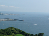 披露山公園2