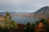 nikko02