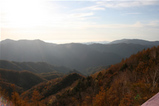 nikko03