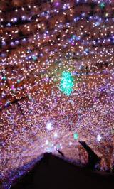 f89f9e43.jpg