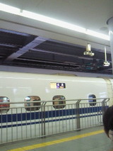 4873e19c.jpg
