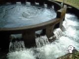 waterr