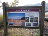 d052014c.JPG