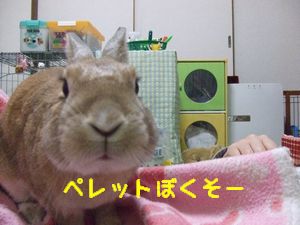 �楺��