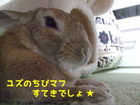 �楺��