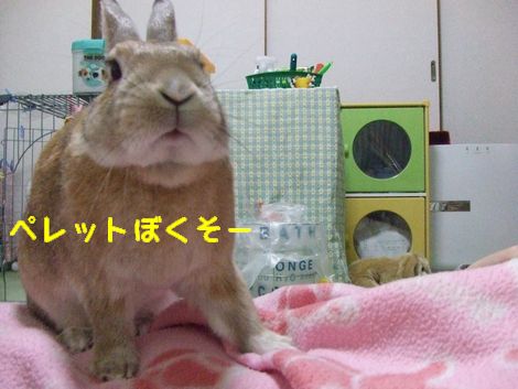 �楺��