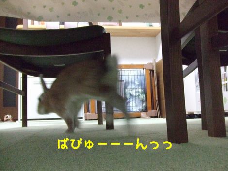 �楺