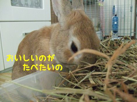 �楺��