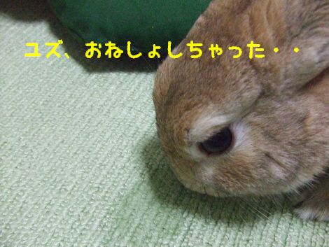 �楺��