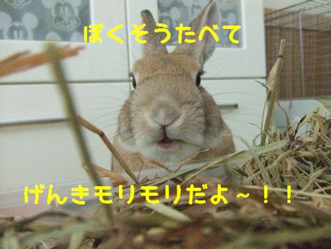 �楺��