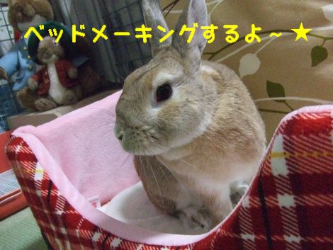 �楺��
