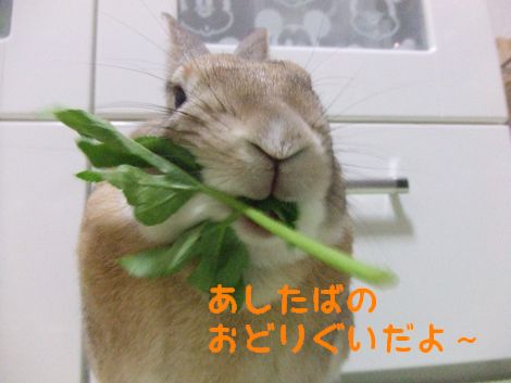 �楺��