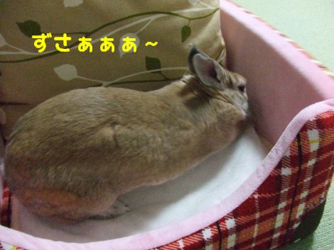 �楺��