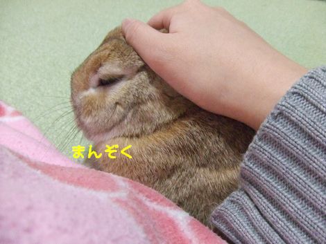 �楺��