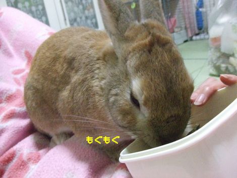 �楺
