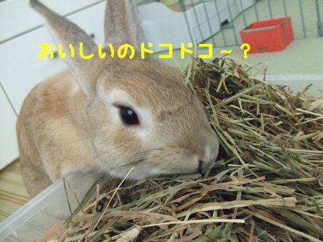 �楺��