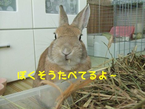 �楺��