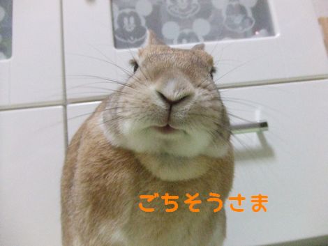 �楺��