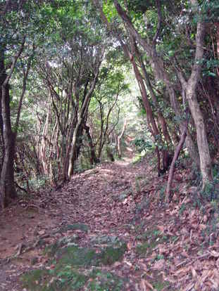 P8290009