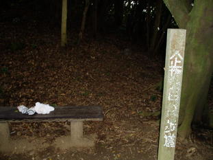 P8290008