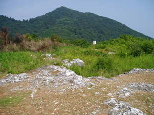 P8290038