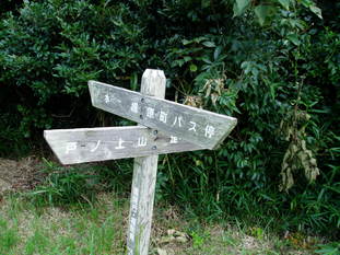 P8290027