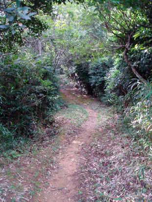P8290004