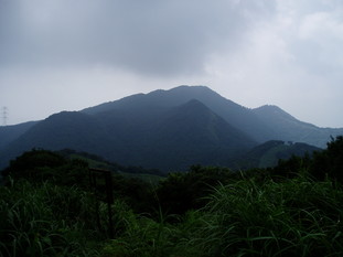 P8290031