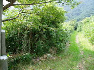 P8290006