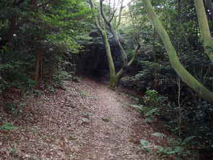 P8290016