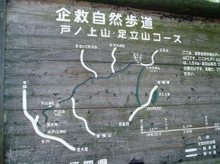 P8290005