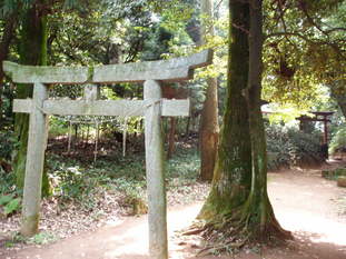P8290011
