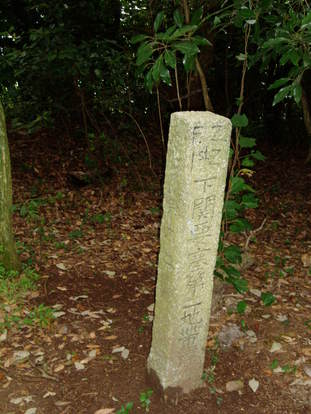 P8290030