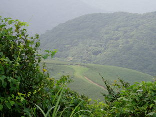 P8290018