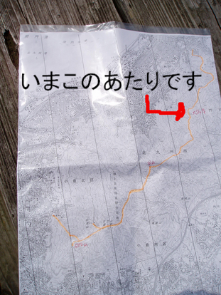 BlogPaint