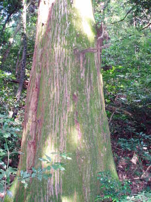 P8290035