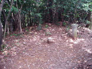 P8290029