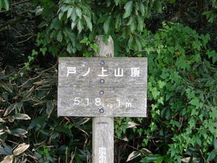 P8290013