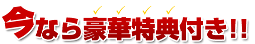 ���L���̃v�����������|�[�g�W
