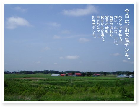 お天気テンキ