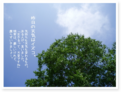 昨日の天気はイズコ。
