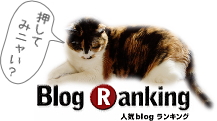 ブログランキング