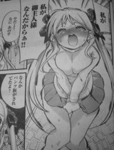�䤬�����ͤʤ�����顪��