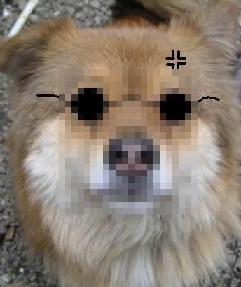 まっさーさん2