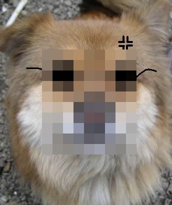 �ޤä�������