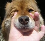 �ޤä�������4