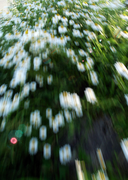 green_0706_2