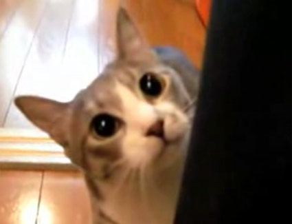 ǭ�Ȱ��ˤ���ޤ��󤬤������